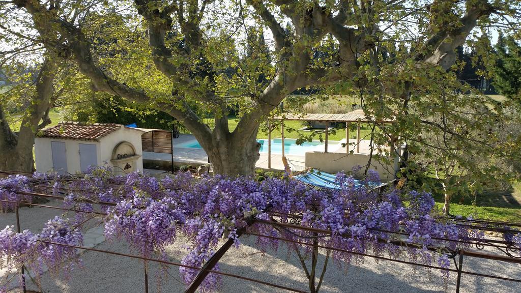Sous Les Platanes B&B Chateaurenard Bagian luar foto