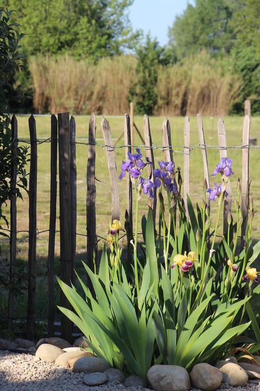 Sous Les Platanes B&B Chateaurenard Bagian luar foto